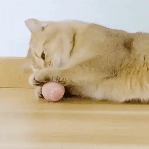 FunnyCat Automatic Rolling Ball™