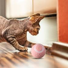 FunnyCat Automatic Rolling Ball™