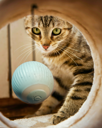 FunnyCat Automatic Rolling Ball™