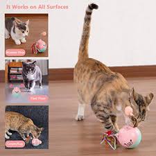 FunnyCat Automatic Rolling Ball™
