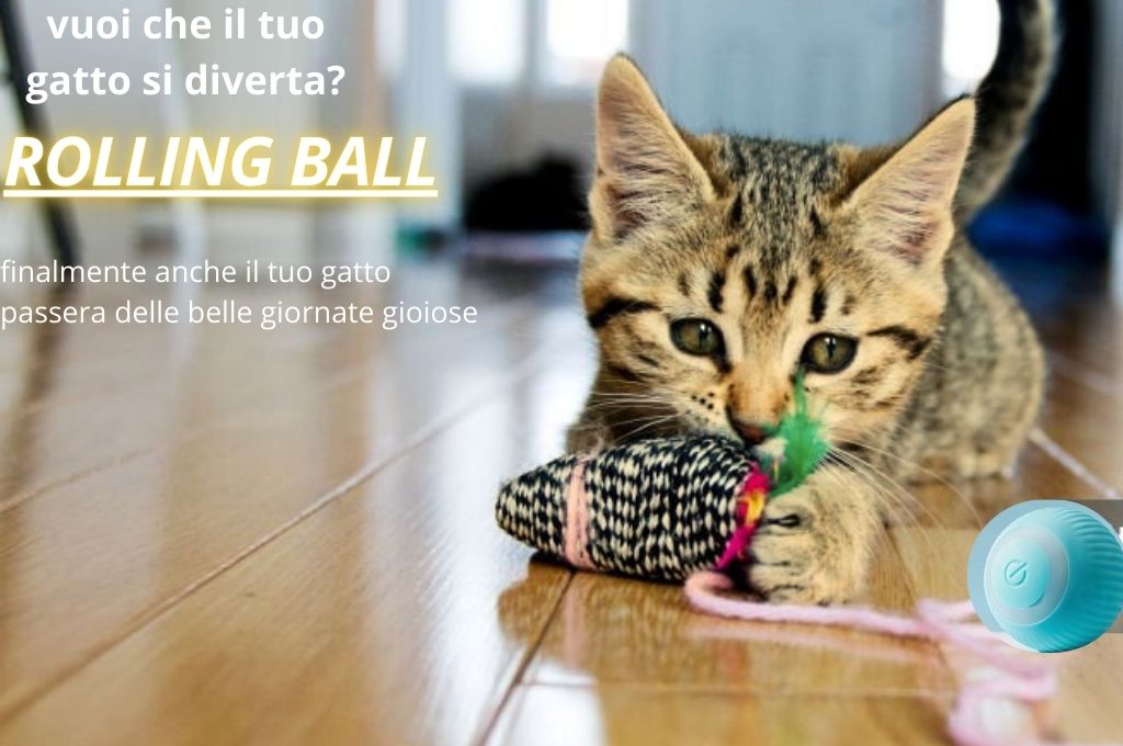 Automatic Rolling Ball